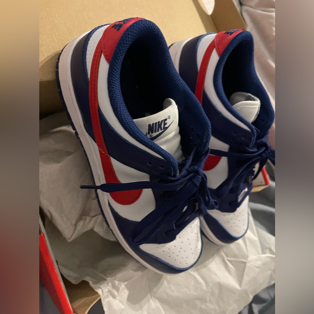 Nike Low Dunks